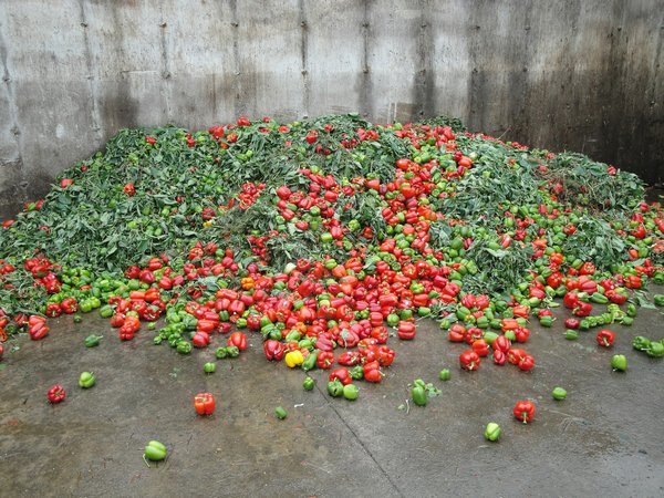 Wie kann man eine ausgefallene Silvester-Partygarderobe mit nachhaltigen Materialien gestalten?
