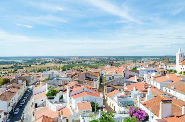 Expertenmeinungen in Deutschland im Jahr 2024